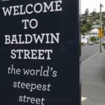 Dunedin City Highlights, Otago Peninsula Scenery & Albatross Guided Tour - Final Words