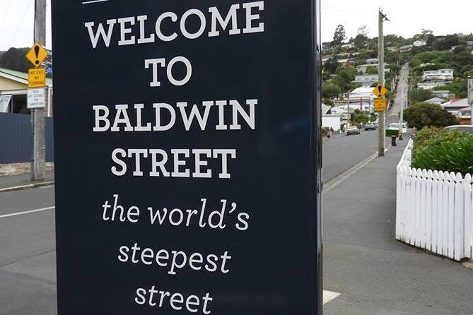 Dunedin City Highlights, Otago Peninsula Scenery & Albatross Guided Tour - Final Words