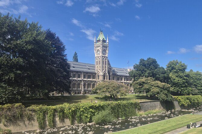 Dunedin City - Settlers & Voyages Tour - Authentic Experiences and Authentic Insights