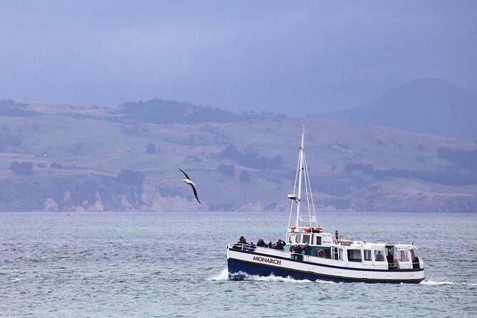 Dunedin City to Sea Wildlife Cruise + Peninsula Bus Tour - Final Thoughts