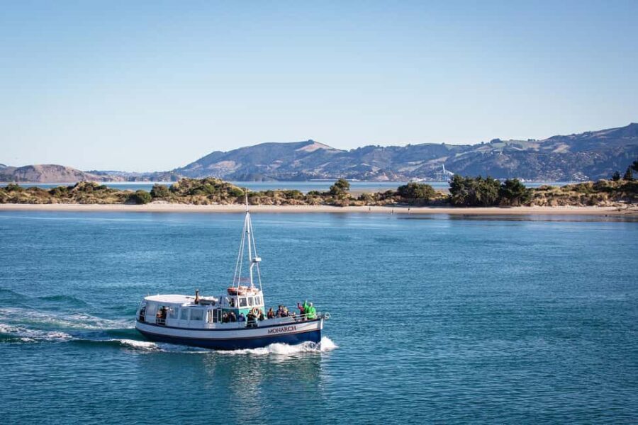 Dunedin: Monarch - One Hour Wildlife Cruise - Who Will Love This Experience?
