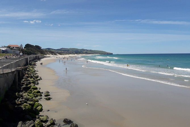 Dunedin Nature & City Tour  Full Day Cruise Excursion - What It Means for You