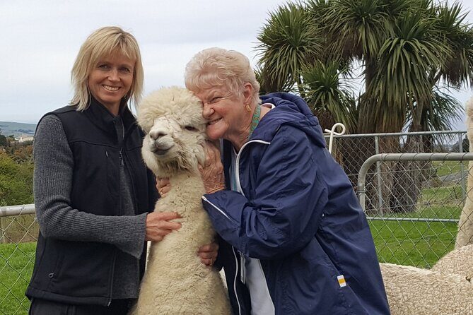 Dunedin Private Tour: City Sights & Otago Peninsula - An In-Depth Look at Dunedin’s Private Tour