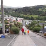 Dunedin: Small Group City Highlights Tour - A Detailed Look at the Dunedin Highlights Tour