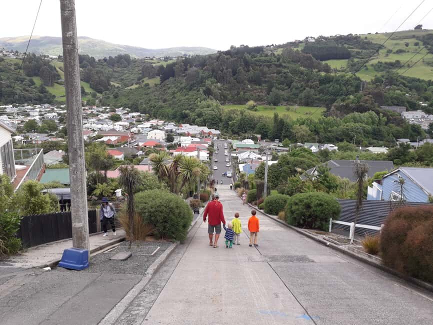 Dunedin: Small Group City Highlights Tour - A Detailed Look at the Dunedin Highlights Tour