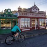 Dunedin to Queenstown Incl Train Small-Group Tour (One-Way) - The Journey from Dunedin to Queenstown: A Detailed Breakdown