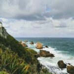 Dunedin to Te Anau via The Catlins & Invercargill 1 Way Tour - Why This Tour Offers Great Value