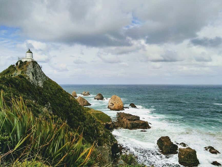 Dunedin to Te Anau via The Catlins & Invercargill 1 Way Tour - Why This Tour Offers Great Value