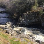 Dunrobin Castle Private Tour - The Falls of Shin and Salmon Leap