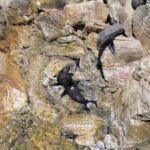 Dunsborough Eco and Snorkel Boat Tour - Who Would Love This Tour?