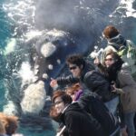 Dunsborough: Whale Watching Tour - The Itinerary: What to Expect on Your Cruise