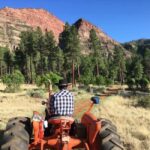 Durango: Bar D Chuckwagon Supper and Show Ticket - The Sum Up