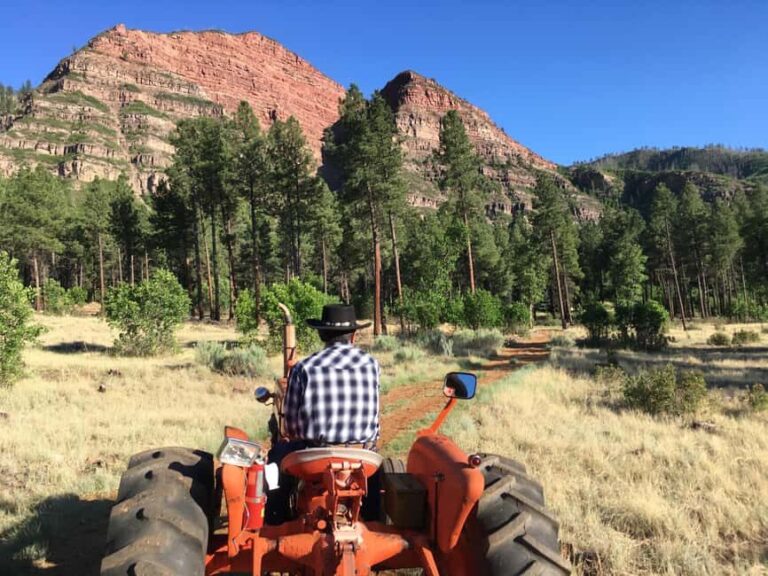 Durango: Bar D Chuckwagon Supper and Show Ticket - The Sum Up