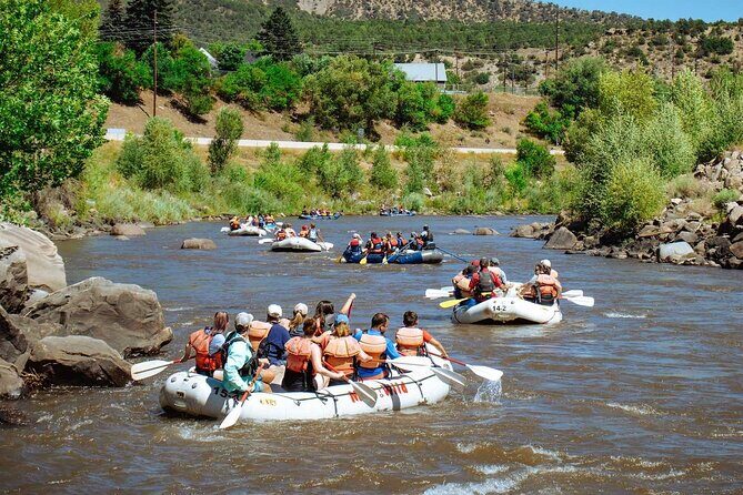 Durango Half Day Rafting Trip - Lower Animas River - Who Should Book This Adventure?
