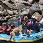 Durango Rafting - Quarter Day Family Friendly Trip - Who Should Consider This Trip?