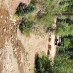 Durango: Waterfalls and Mountains La Plata Canyon Jeep Tour - Who is this tour best suited for?