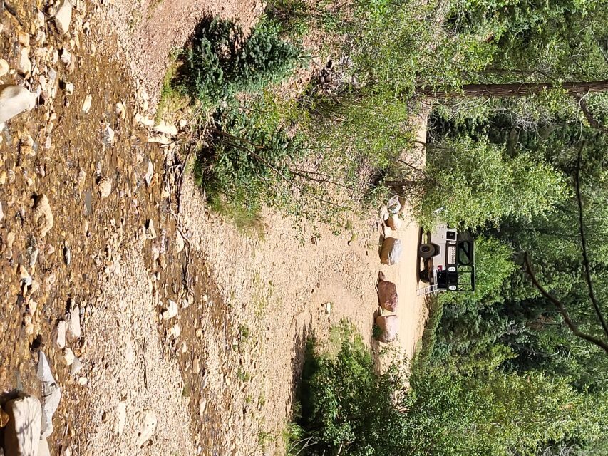 Durango: Waterfalls and Mountains La Plata Canyon Jeep Tour - Who is this tour best suited for?
