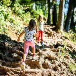 Durmitor National Park hiking tour - easy to moderate - Considerations for Travelers