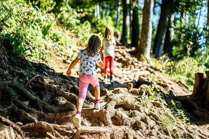 Durmitor National Park hiking tour - easy to moderate - Considerations for Travelers
