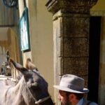 Durrells story half day - Why This Tour Offers Great Value