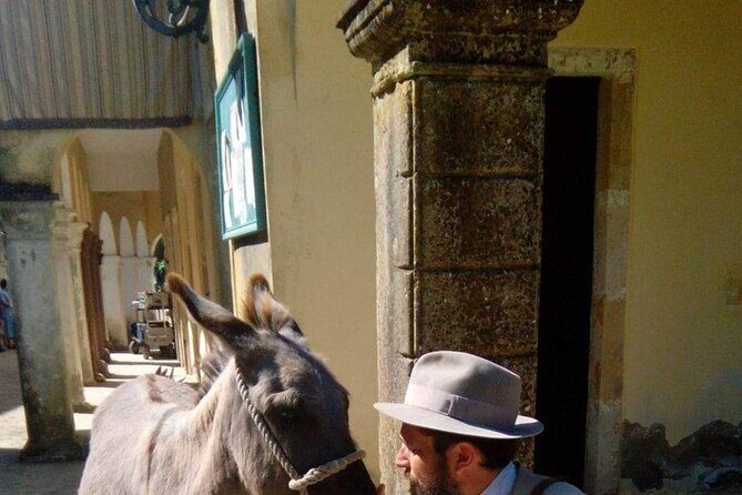 Durrells story half day - Why This Tour Offers Great Value