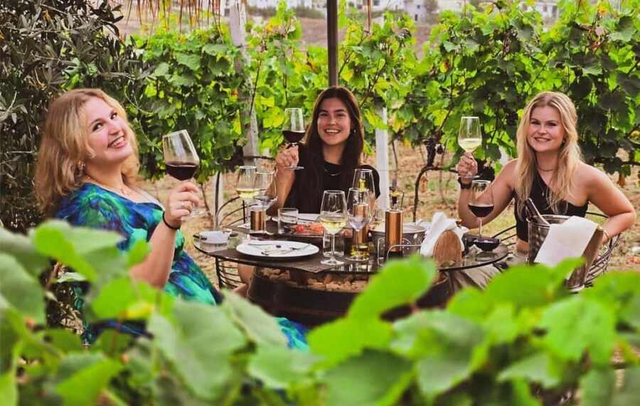 Durres Countryside Vineyards Wine & Food Tasting Tour - Who Will Love This Tour?