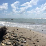 Durrës: Walking Tour and Roman Amphitheater - What Makes This Tour Valuable?