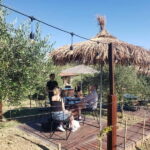 Durres: Where History Meets Wine - Walking Tour of Durres’s Heritage: From Roman Ruins to Byzantine Art