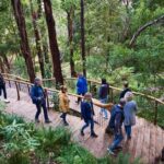 Dusk Discovery Tour - An In-Depth Look at the Dusk Discovery Tour