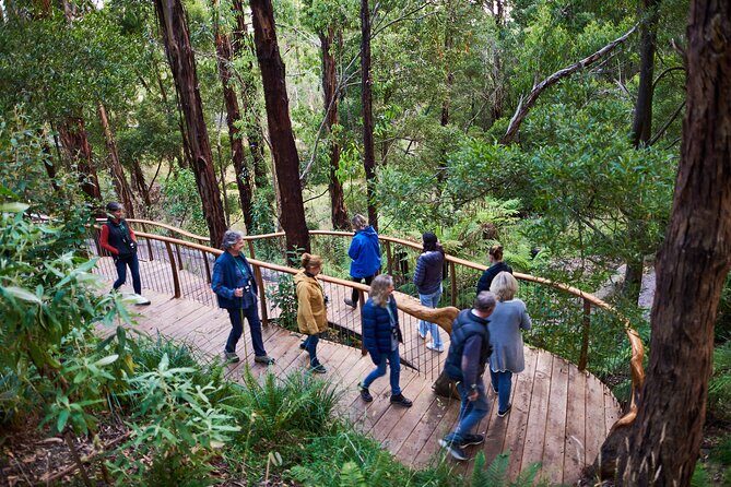 Dusk Discovery Tour - An In-Depth Look at the Dusk Discovery Tour