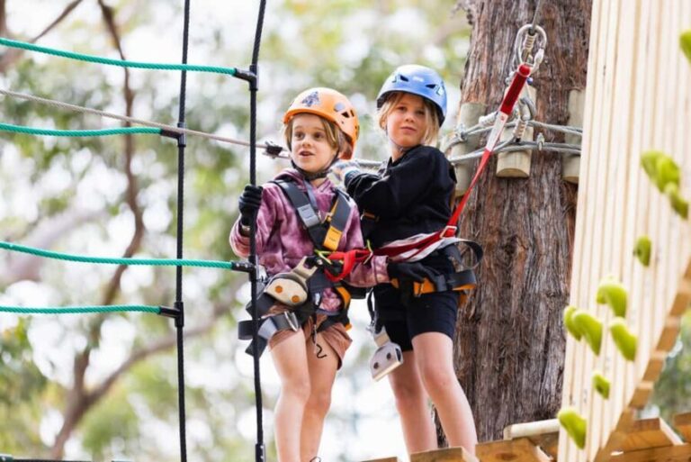 Dwellingup: Junior Tree Ropes Course - A Detailed Look at the Dwellingup Junior Tree Ropes Course Experience