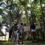 Dzibanche & Kohunlich Mayan Archeology Tour & 3 course Meal - Exploring the Itinerary in Detail