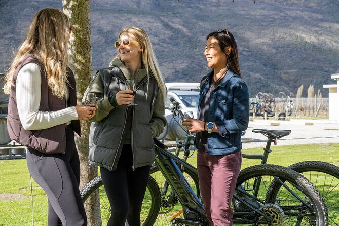 E-Bike Adventures Through the Wineries in Gibbston - The Experience and Its Value