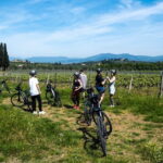E-bike Chianti Classico & Tuscany tour with Wine & Lunch at Farm - The Experience in Detail