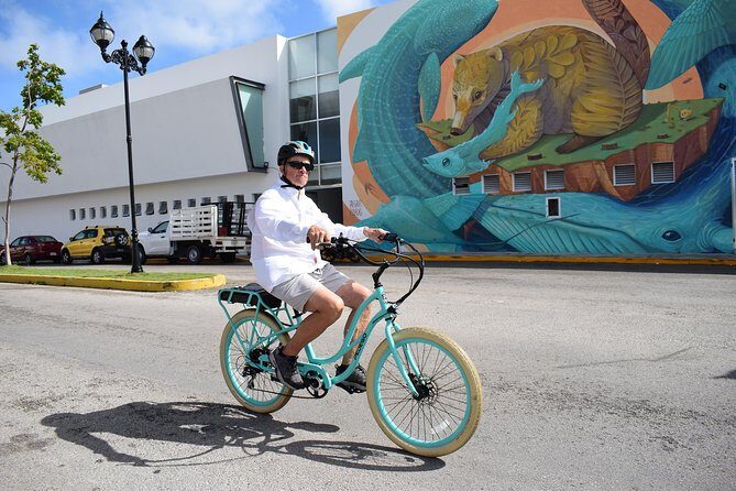 E-Bike City Tour though Cozumel & Taco Tasting Tour - Is This Tour Right for You?
