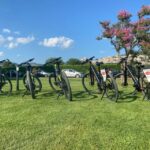 E-bike Citybike Rental - full day - Final Thoughts