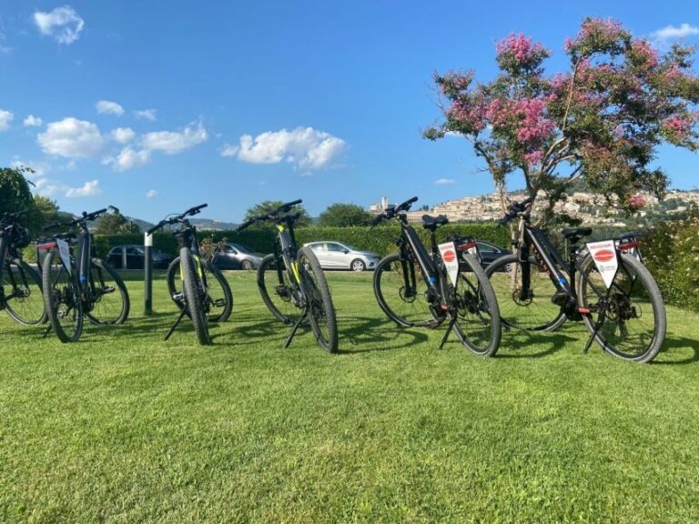 E-bike Citybike Rental - full day - Final Thoughts