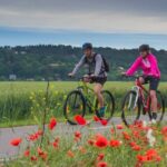 E-Bike Day Trip: Visit a Roman Castle and Taste Craft Beer - Practical Details & Considerations
