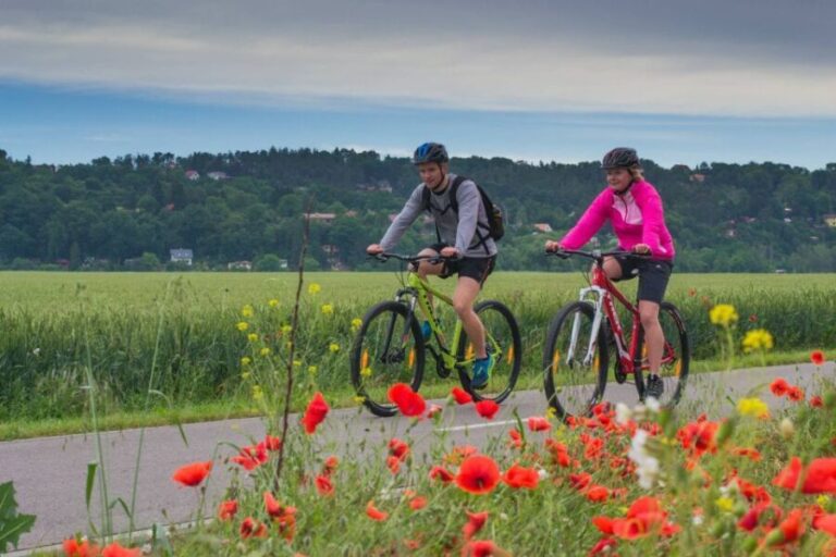 E-Bike Day Trip: Visit a Roman Castle and Taste Craft Beer - Practical Details & Considerations