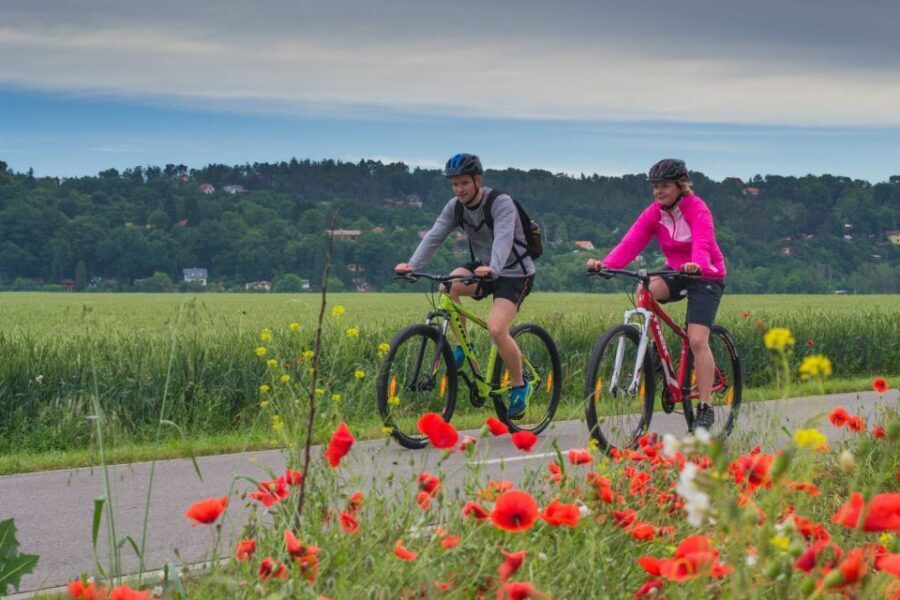 E-Bike Day Trip: Visit a Roman Castle and Taste Craft Beer - Practical Details & Considerations