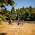 E-Bike Guided Tour - Belle Vue Mountain Biking - Who Will Love This Tour?