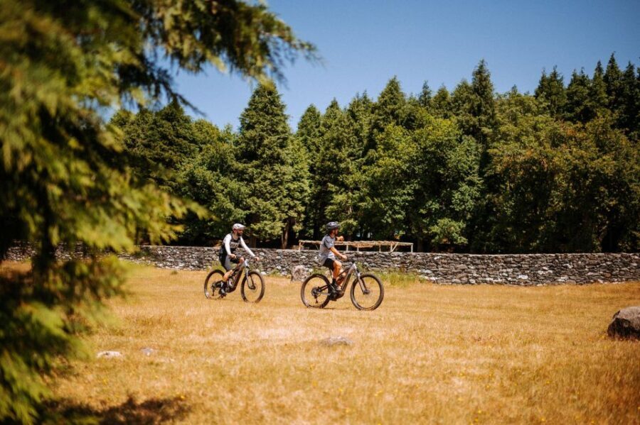 E-Bike Guided Tour - Belle Vue Mountain Biking - Who Will Love This Tour?