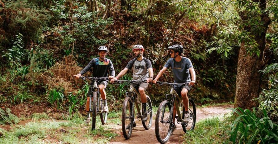 E-Bike Guided Tour - Mountain biking experience - Who This Tour is Best For