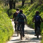 E-Bike Kalamata Olive Routes - Why This Tour Works Well