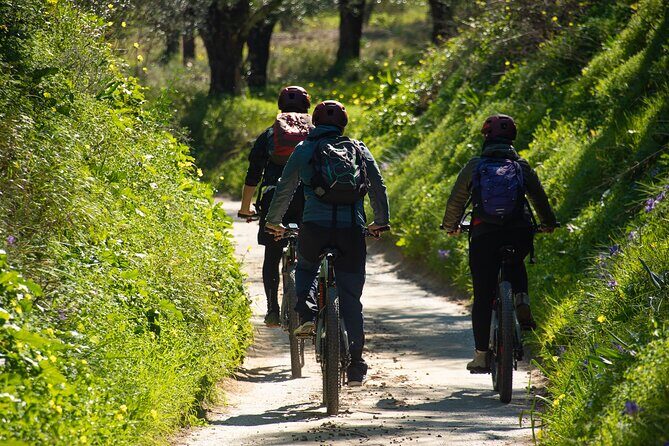 E-Bike Kalamata Olive Routes - Why This Tour Works Well