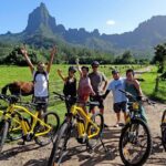 E-Bike Moorea Electric Bike Belvedere Tour (2 people minimum) - The Heart of the Experience: A Closer Look at the Itinerary
