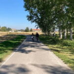 E-Bike Rental in Roero - Who Will Love This Experience?