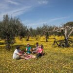 E-bike ring tour between Locorotondo and Martina Franca - A Detailed Look at the E-Bike Ring Tour
