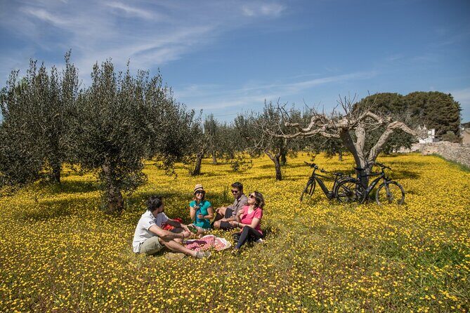 E-bike ring tour between Locorotondo and Martina Franca - A Detailed Look at the E-Bike Ring Tour
