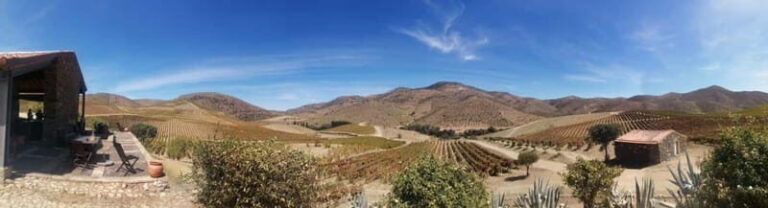 e-Bike Through Douro Valley Wine Region for Half Day Tour - Who Would Love This Tour?